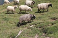 (158) Rando au Lac d'Aestens